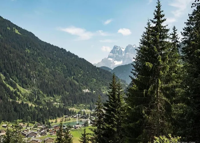 Apartament Jonquilles For 4 People Châtel