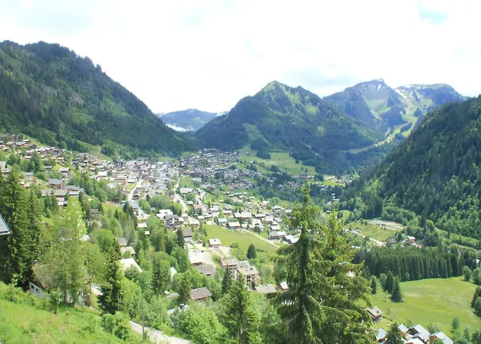 Apartament Jonquilles For 4 People Châtel
